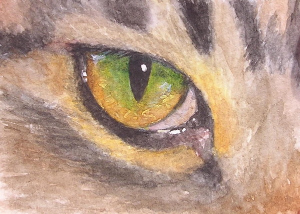 Bright Eye