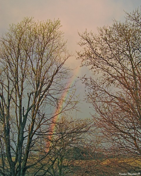 Rainbow 4