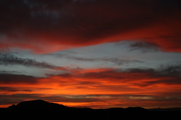 Sunrise Light #2 (up close)