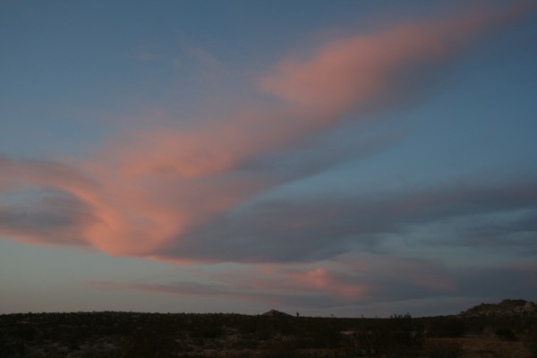 A Desert Evening  #2 (up close)