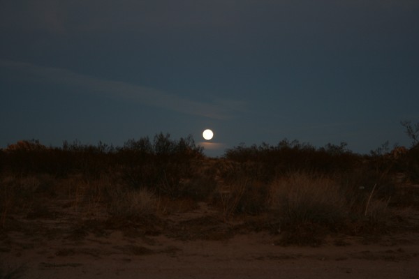Rising Moon