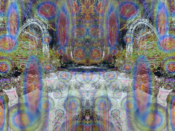 Forest Vision