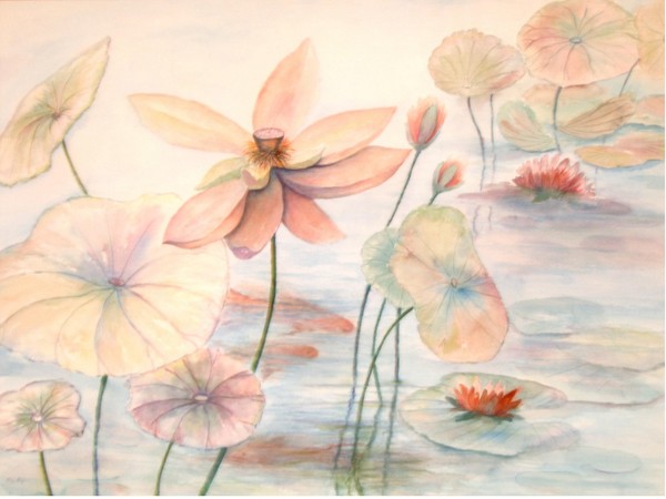 Lily Pads