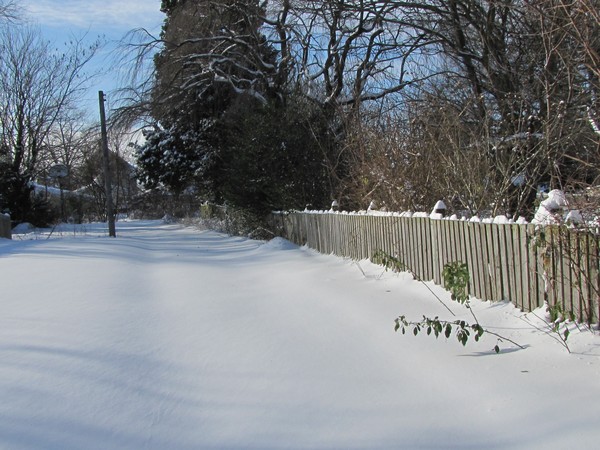 Back of our house in the snow.
