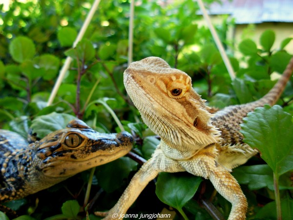 Eh, You Lookin At Me?