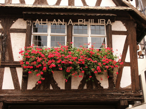 Window Box