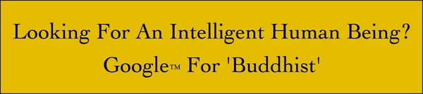 Looking For An Intelligent...