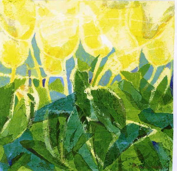 Yellow tulips