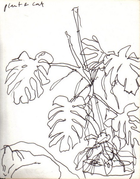 Plant and cat