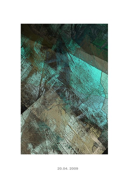 butterfly wing