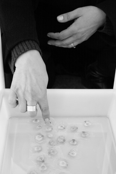 Leila Pugnaloni's work