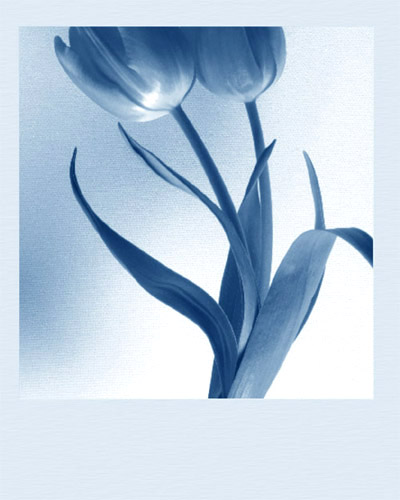 Fleur