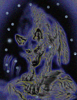 Wolf Of The  Night