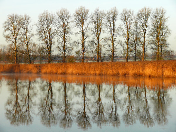 autumn reflection