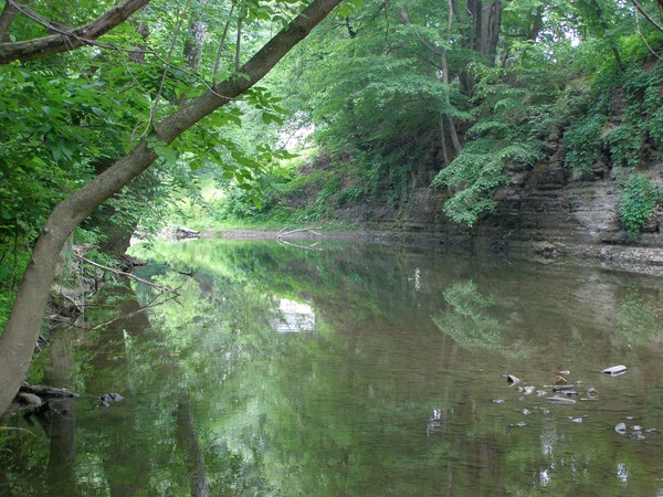 Calm Pursuits