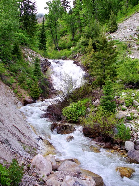 Elk Creek Falls
