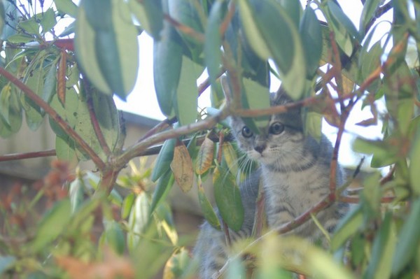 peek-a-boo!
