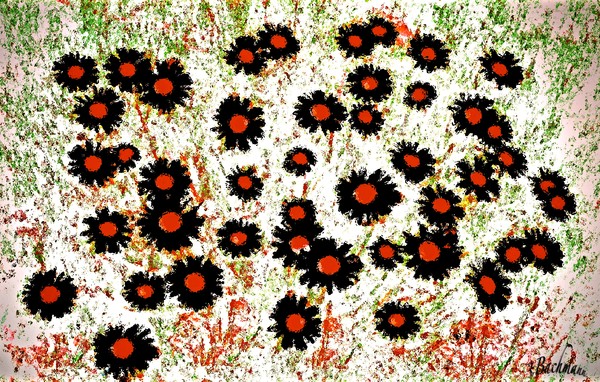 Flowers from Mars !