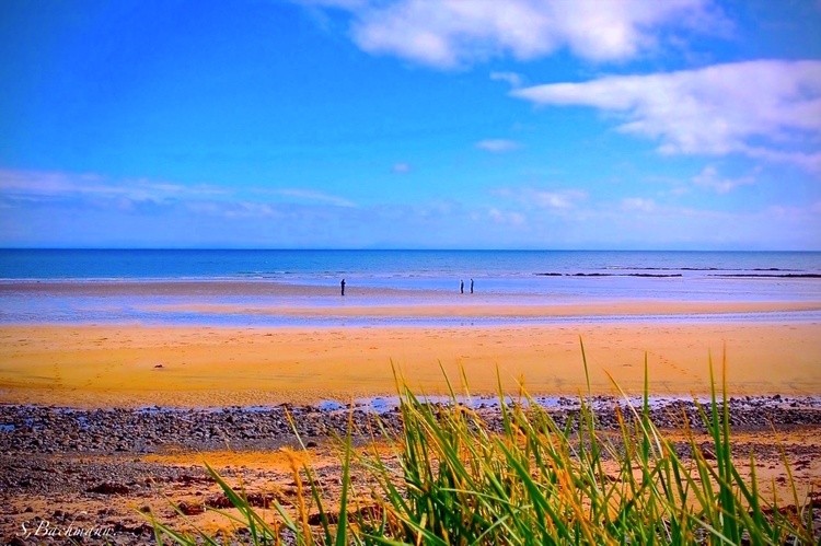 The golden beach in Iceland.