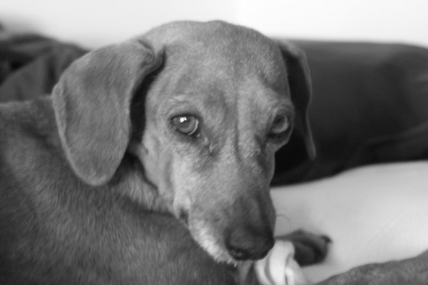 guilty look