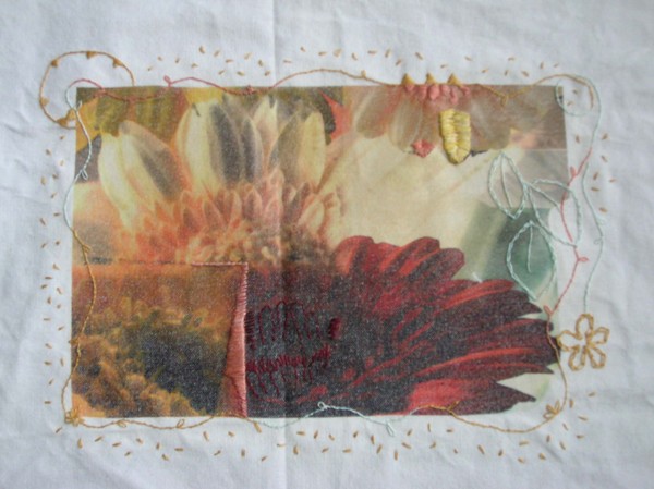Gerberas