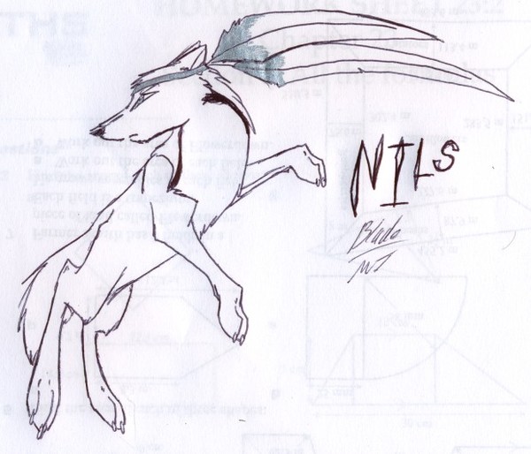 Nils Silver