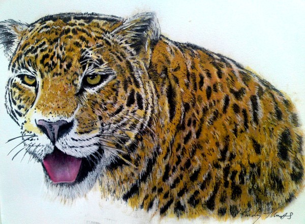 leopard