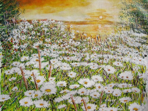 Daisy Sunset