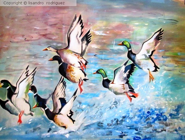 water fowl