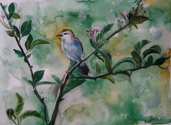 bird on the  tree