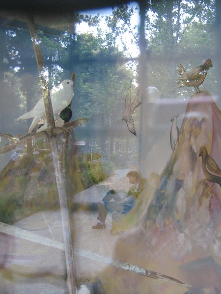 reflection peace dream