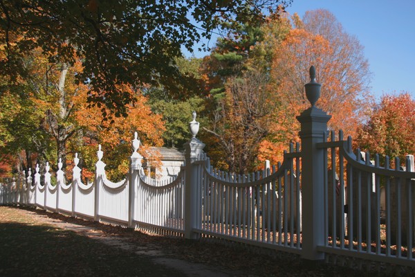 Over the Fence
