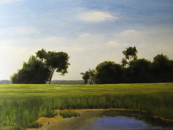 The Still Pond