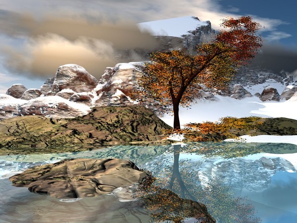 The Grace of Mother Nature