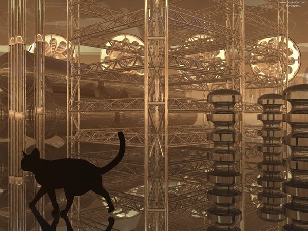Cat in the brown factory