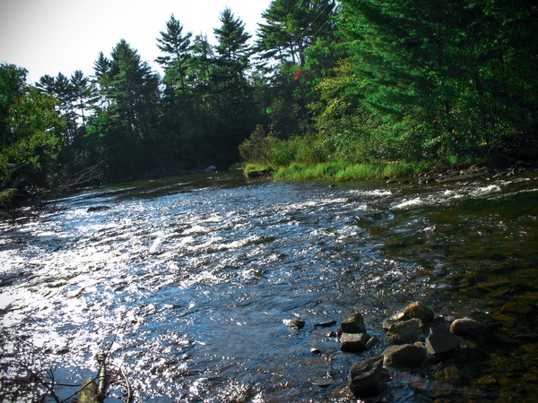 Little river