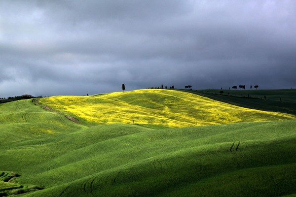 Yellow hills