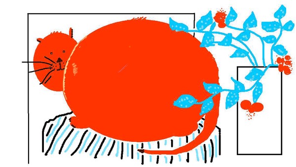 red cat