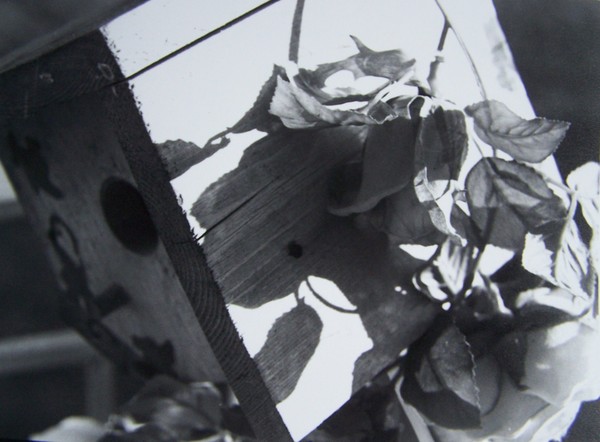 Birdhouse