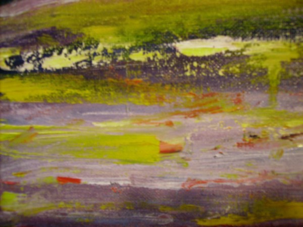 water lilies in the delta