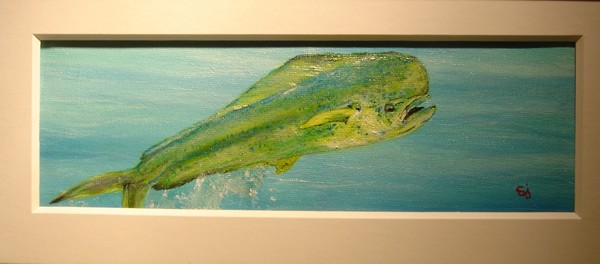 mahi