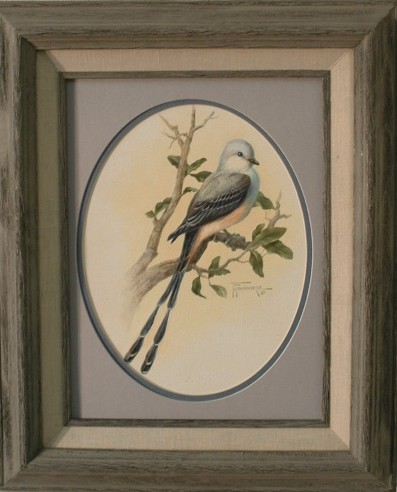 Scissortail
