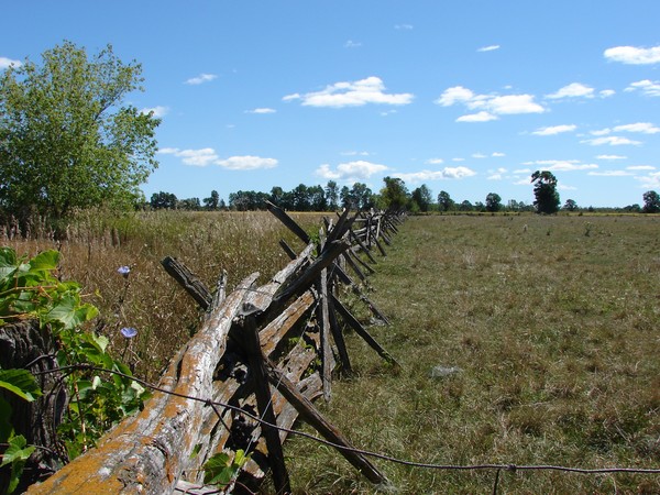 A Fence - the Old Fashioned Way