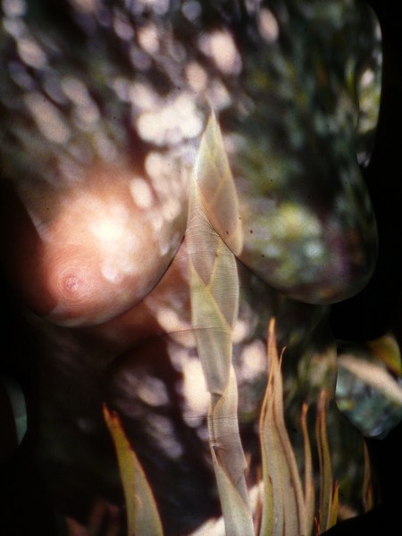 Nature's Body 3