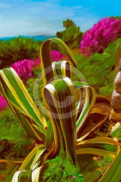 Cactus