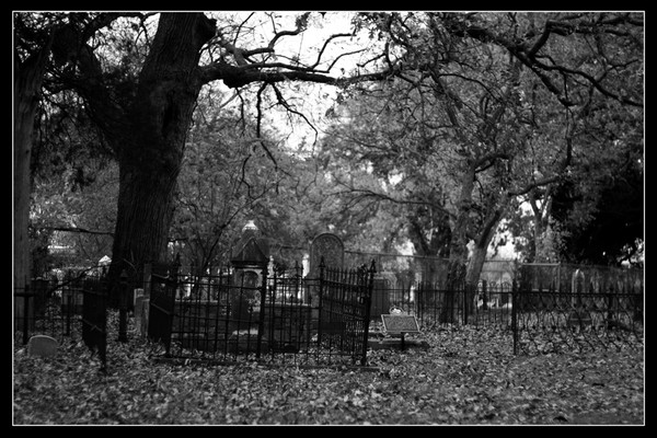 Forgotten