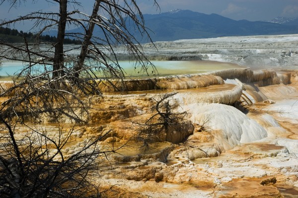Mammoth Springs