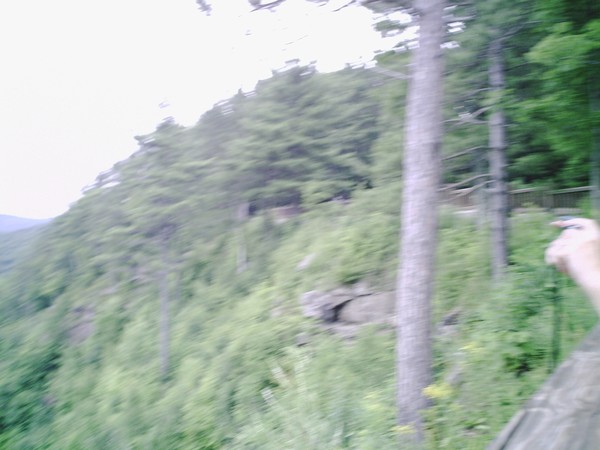 Pennsylvania Grand Canyon 4 from top