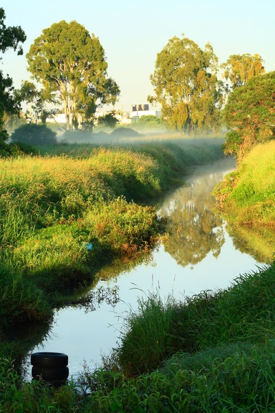 Dissipating Mist