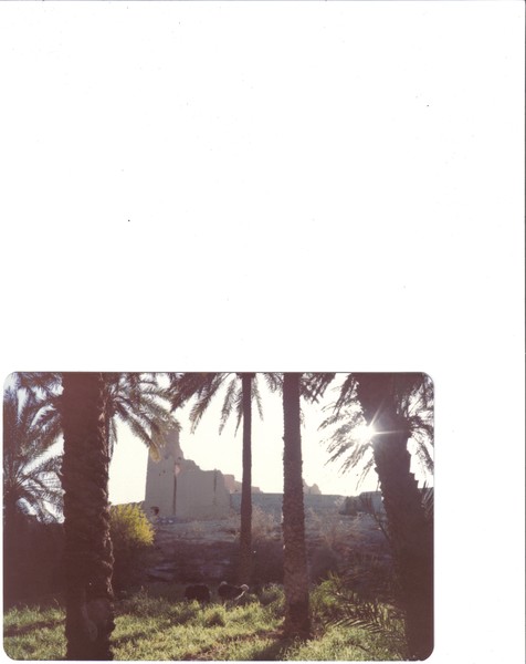 Castle at the Oasis